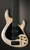 Meridian J 24 - 5 Strings- Bass - BassGears